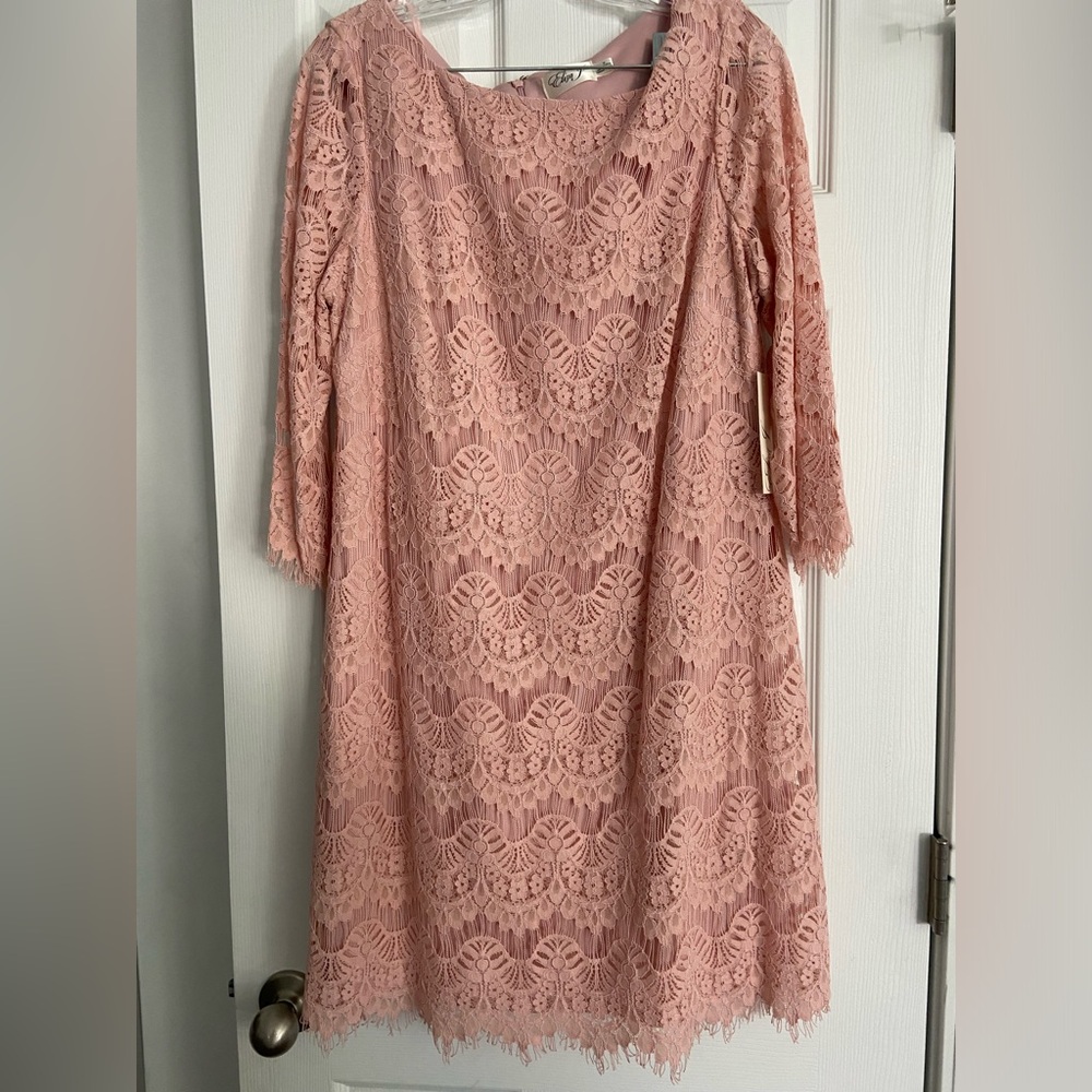 Eliza J lace dress